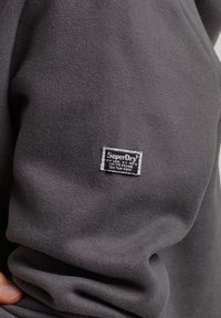 Superdry & Co Jersey con capucha - grey