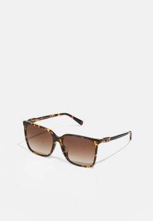 CANBERRA - Lunettes de soleil - dark tortoise