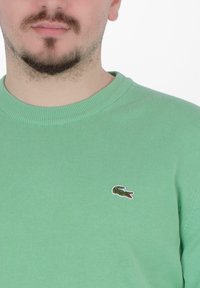 Maglione verde lavorato a maglia con collo a girocollo a coste e un piccolo logo di coccodrillo ricamato sul lato sinistro del petto.