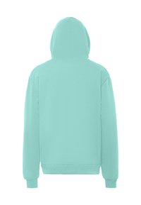 Mintgrön hoodie med en mjuk textur, med en full huva, långa ärmar och ribbade muddar och fåll. Inga synliga logotyper eller mönster.