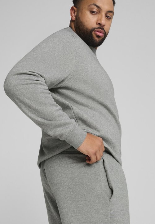PUMA LOGO SHORTS - Sports shorts - medium gray heather — photo 2