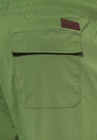 Zelené cargo šortky s hladkou texturou, elastickým pasem a hnědou koženou nášivkou s logem na zadní kapse.