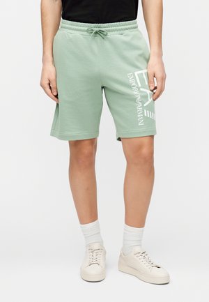 TRAIN CORE BIG LOGO - Tréningruha alsók - green bay