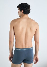 Gray Calvin Klein boxer briefs with a logoed waistband, made of soft fabric, fitted design, and a smooth texture; viewed from the back.