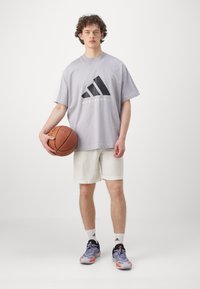 adidas Performance TEE - Camiseta estampada - glory grey