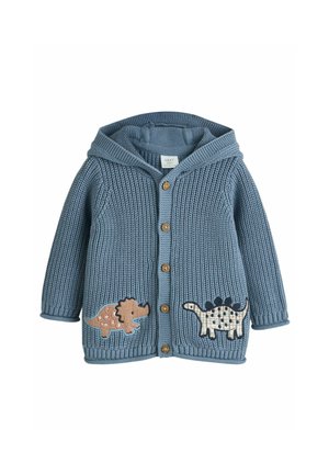 Blauer gestrickter Babypullover mit Kapuze, vorderem Knopfverschluss und Dinosaurier-Applikationen auf jeder Seite nahe dem Saum.