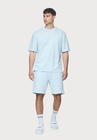 Pegador LOGO TEE - Pamata T-krekls - washed baby blue