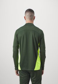 Puma BVB BORUSSIA DORTMUND TRAINING 1/4 ZIP - Sporto klubų atributika - myrtle/yellow alert