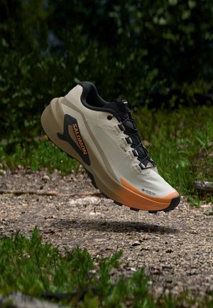 Salomon, GENESIS 2 GTX - Обувки за бягане по пресечен терен - rainy day/desert tan/nectarine