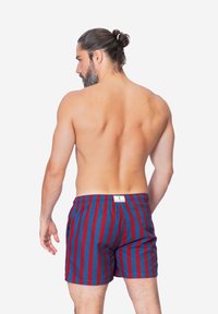 Costumi da bagno da uomo con strisce verticali rosse e blu, vita elastica e un etichetta sul retro. Il materiale sembra leggero e liscio.