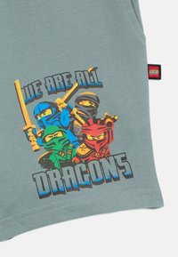 Light blue t-shirt featuring a graphic of four ninjas in varying colors (blue, green, red, yellow) with the text "WE ARE ALL DRAGONS" below.