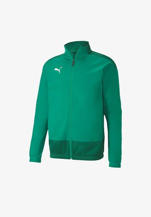 TEAMGOAL JR - Veste de survêtement - gruen