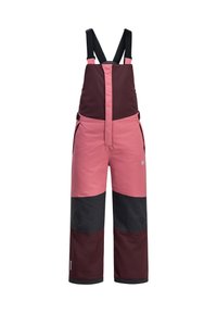 Jack Wolfskin ACTAMIC - Schneehose - boysenberry