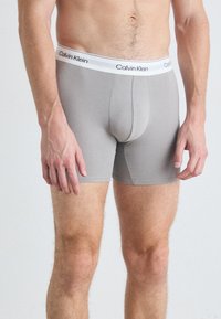 Boxer briefs grigi chiaro con un morbido elastico in vita che presenta il logo "Calvin Klein" in nero. Realizzati in un tessuto liscio, con un design aderente.