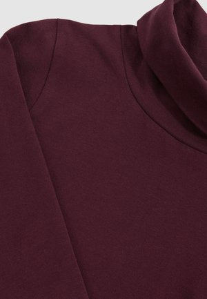 Bordeaux langemouwtop met een hoge hals. Kenmerkt zich door een gladde, zachte stof en een getailleerd silhouet. Strak, minimalistisch ontwerp zonder versieringen.