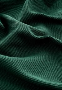 Next ROLL NECK STANDARD - Svetr - forest green