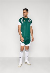 Πράσινη και λευκή ποδοσφαιρική στολή με διχτυωτή υφή, διαθέτοντας το σήμα της Ιταλίας. Περιλαμβάνει λευκά σορτς, κάλτσες με μαύρες ρίγες και παπούτσια. Χρυσές λεπτομέρειες.