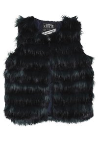 Czarna kamizelka z sztucznego futra o pionowych paskach, okrągłym dekolcie i zapięciu na guzik. Miękki, puszysty materiał z etykietą edycji limitowanej.