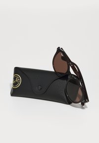 Lunettes de soleil Ray-Ban avec des verres teintés bruns et une monture en plastique noir, accompagnées d'un étui en cuir texturé noir avec un logo.
