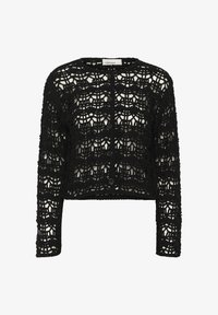 Ausgewählt, meteorite