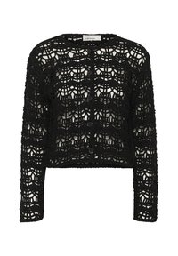 Cardigan - meteorite