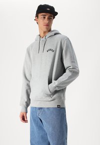 Dickies PHANTER HOODIE - Jersey con capucha - grey