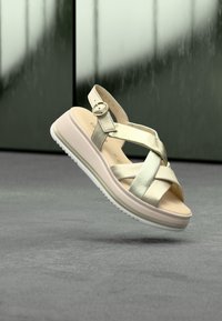 Δεν επιλέχθηκε, puder/perla/platino-coloured