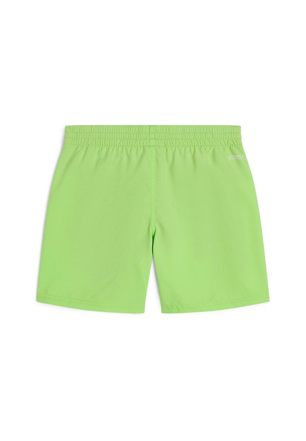 ORIGINAL CALI - Swimming shorts - paradise valley2