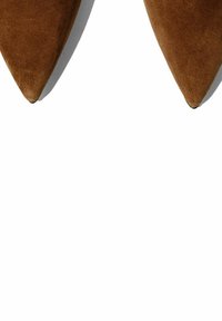 Zapatos de ante marrón con punta afilada y un acabado suave. El diseño presenta una silueta elegante y una textura suave. Sin herrajes visibles ni patrones.