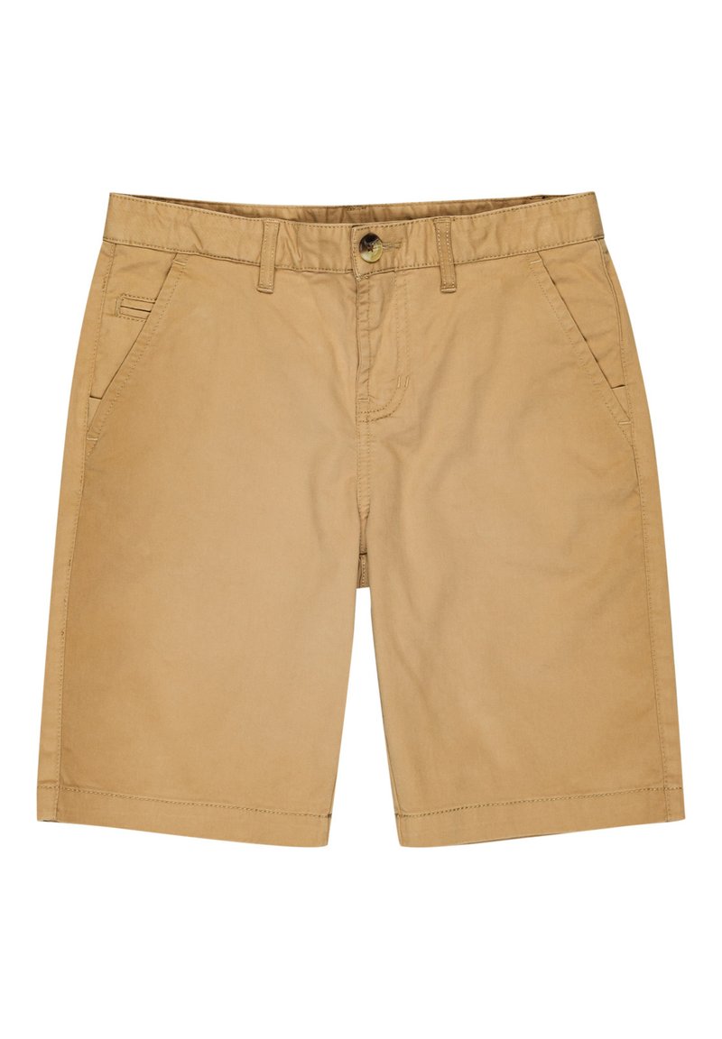 Element Shorts zandkleur