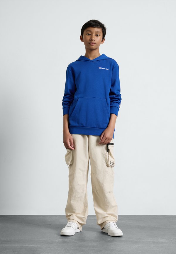 ICONS HOODIE WITH SMALL LOGO - Sweatshirt - bai4