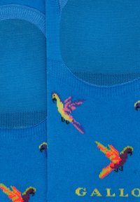 Calzini blu con motivi di pappagallo colorati, realizzati in un design a maglia testurizzata. La parola "Gallo" è stampata in giallo.