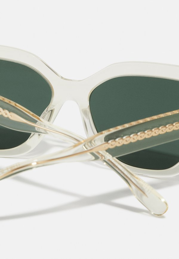 Sunglasses - transp pinot3