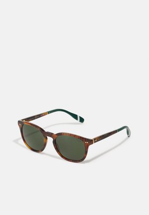 0PH4206 - Sunglasses - shiny brown