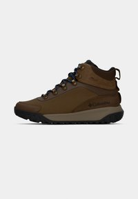 Brown hiking boots with a waterproof design. Features blue laces, bronze hardware, and a black rubber sole for traction. Logo on the side.