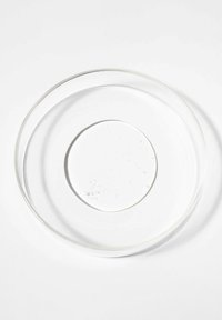 Assiette en verre clair avec une forme ronde et lisse. Présente un rebord légèrement surélevé et un centre plat, reflétant la lumière avec une finition brillante.