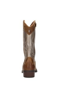 Bruine leren cowboylaarzen met een metallic zilveren schacht, voorzien van voorste stikdetails en een spitse neus, met een middenhoogte hak.