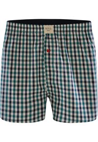 Kraťasy s kostičkovaným vzorem v modré, zelené a bílé barvě. Mají červené knoflíky a elastický pas s výšivkou štítku uvnitř.