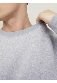 Sudadera de color gris claro con cuello redondo acanalado y costuras visibles. La tela parece suave y ligeramente texturizada.