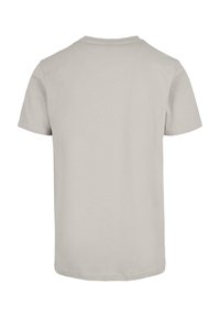 Lysegrå bomulds-t-shirt med korte ærmer, rund hals og ensfarvet rygdesign. Glat tekstur og standard pasform. Ingen mønstre eller detaljer.