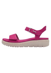 Unselected, fuxia