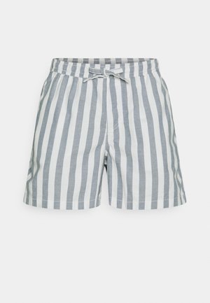 Męskie szorty w jasnoszarym kolorze z białym pionowym paskiem. Wykonane z miękkiego materiału, z elastycznym paskiem w talii i sznurkiem do regulacji.