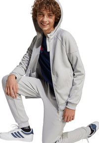 adidas Performance FUSSBALL TIRO  - Sweatjacke - grau