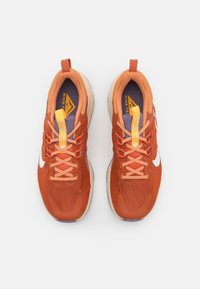 Nike Performance Chaussures de running - light brown