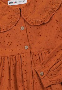 Šaty v barvě rzi s květinovou vyšívanou krajkou, volánkovým límcem a hnědými knoflíky. Mají nabranou sukni a dlouhé rukávy.