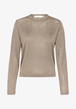 Top lungo beige metallico con maniche lunghe e scollatura rotonda. Texture liscia con una leggera lucentezza, design aderente e silhouette senza tempo.