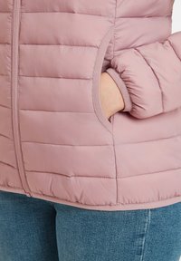 TOG24 GIBSON - Winter jacket - faded pink