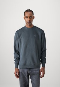 Tommy Jeans FLAG CREW - Sweatshirt - new charcoal
