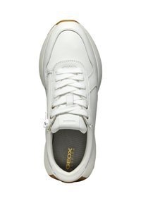 Geox AMABEL - Sneakers basse - white