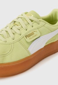 Green suede sneaker with white accents, gold branding, textured laces, and brown rubber sole. Rounded toe and padded collar detail.